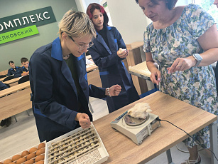 Перья расправлены: птицеводы получили крылья мастерства